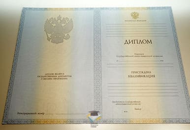 Диплом БГИ 2012-2013 годов